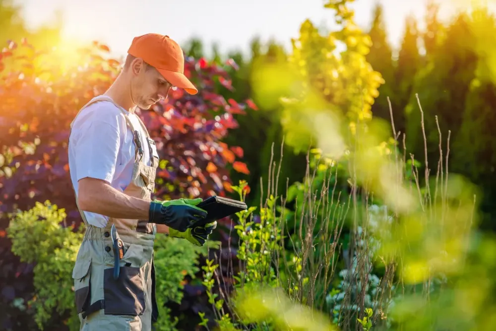 Entretien de jardin à SPRIMONT