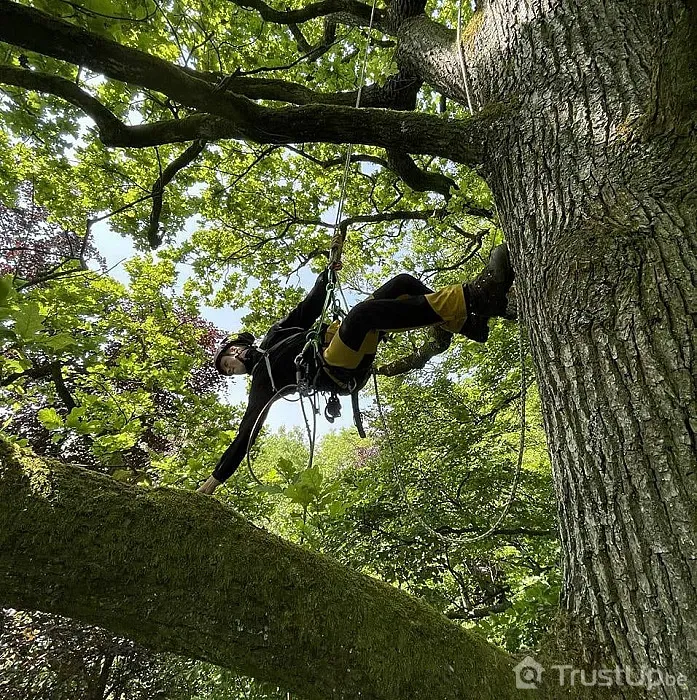 Florian Maquet photographies (4)