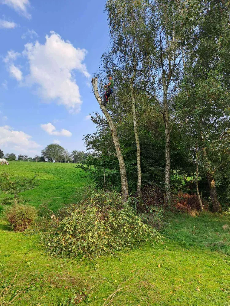 Florian Maquet photographies (4)