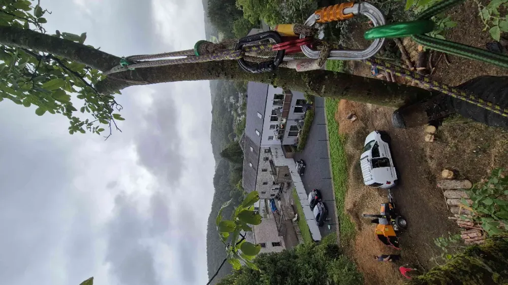 Florian Maquet photographies (1)